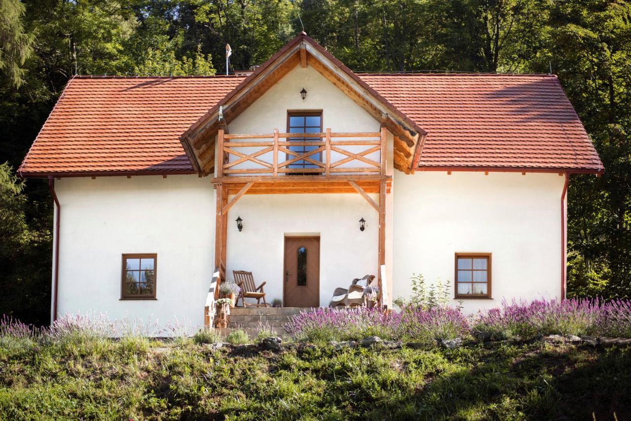 Pensjonat pod Górą Karczmisko Konradow  Exterior foto