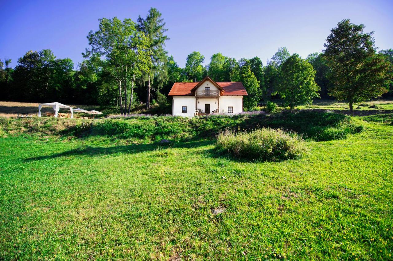 Pensjonat pod Górą Karczmisko Konradow  Exterior foto