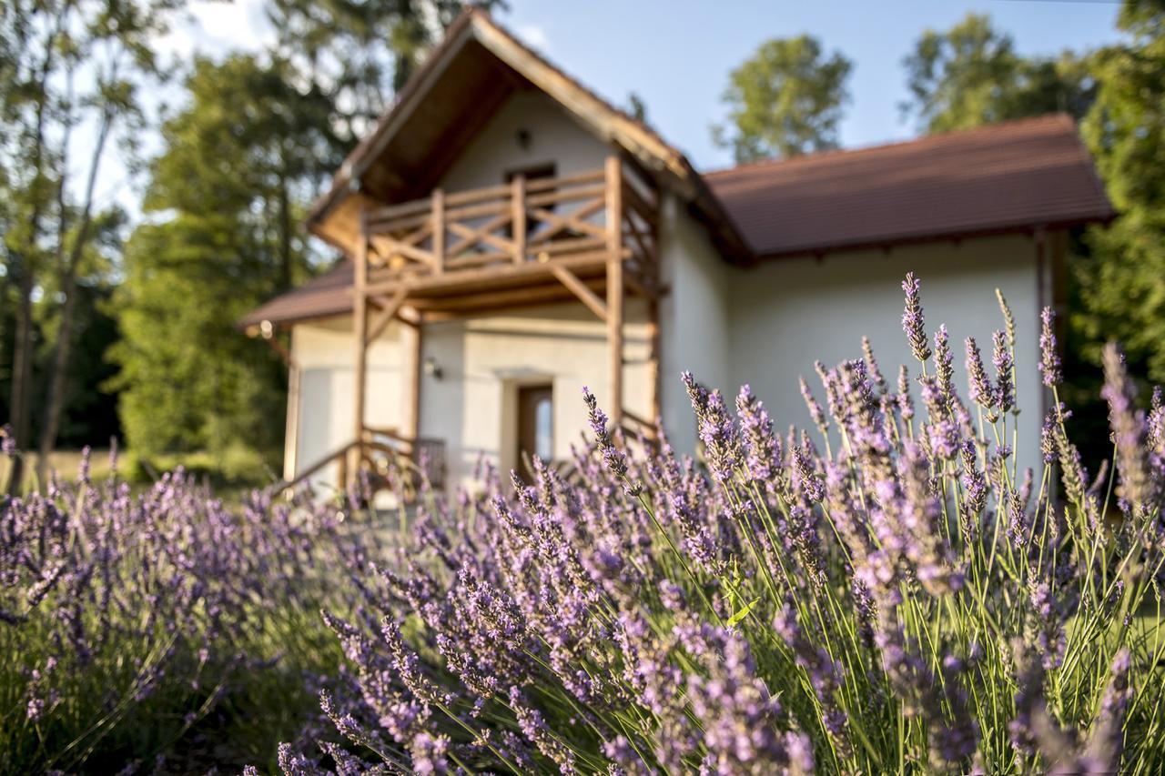 Pensjonat pod Górą Karczmisko Konradow  Exterior foto
